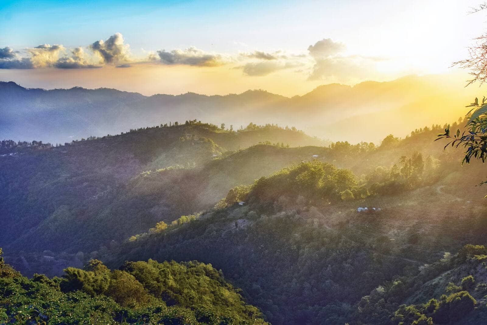 Morning mist over the green ridgelines of the Northern Range